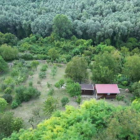 Odmor Za Dusu I Tijelo U Srcu Prirode Villa Aljmaš Dış mekan fotoğraf