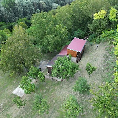 Odmor Za Dusu I Tijelo U Srcu Prirode Villa Aljmaš Dış mekan fotoğraf