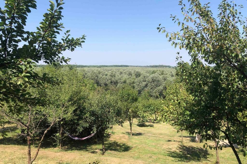 Odmor Za Dusu I Tijelo U Srcu Prirode Villa Aljmaš Dış mekan fotoğraf