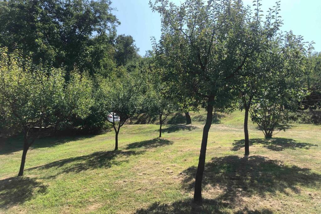 Odmor Za Dusu I Tijelo U Srcu Prirode Villa Aljmaš Dış mekan fotoğraf