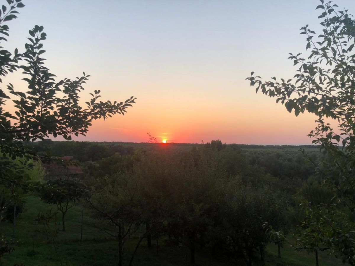 Odmor Za Dusu I Tijelo U Srcu Prirode Villa Aljmaš Dış mekan fotoğraf