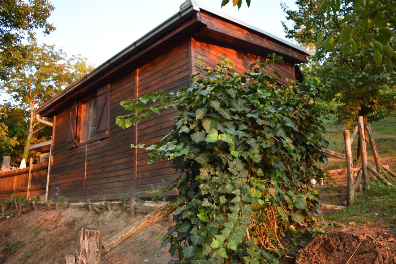 Odmor Za Dusu I Tijelo U Srcu Prirode Villa Aljmaš Dış mekan fotoğraf