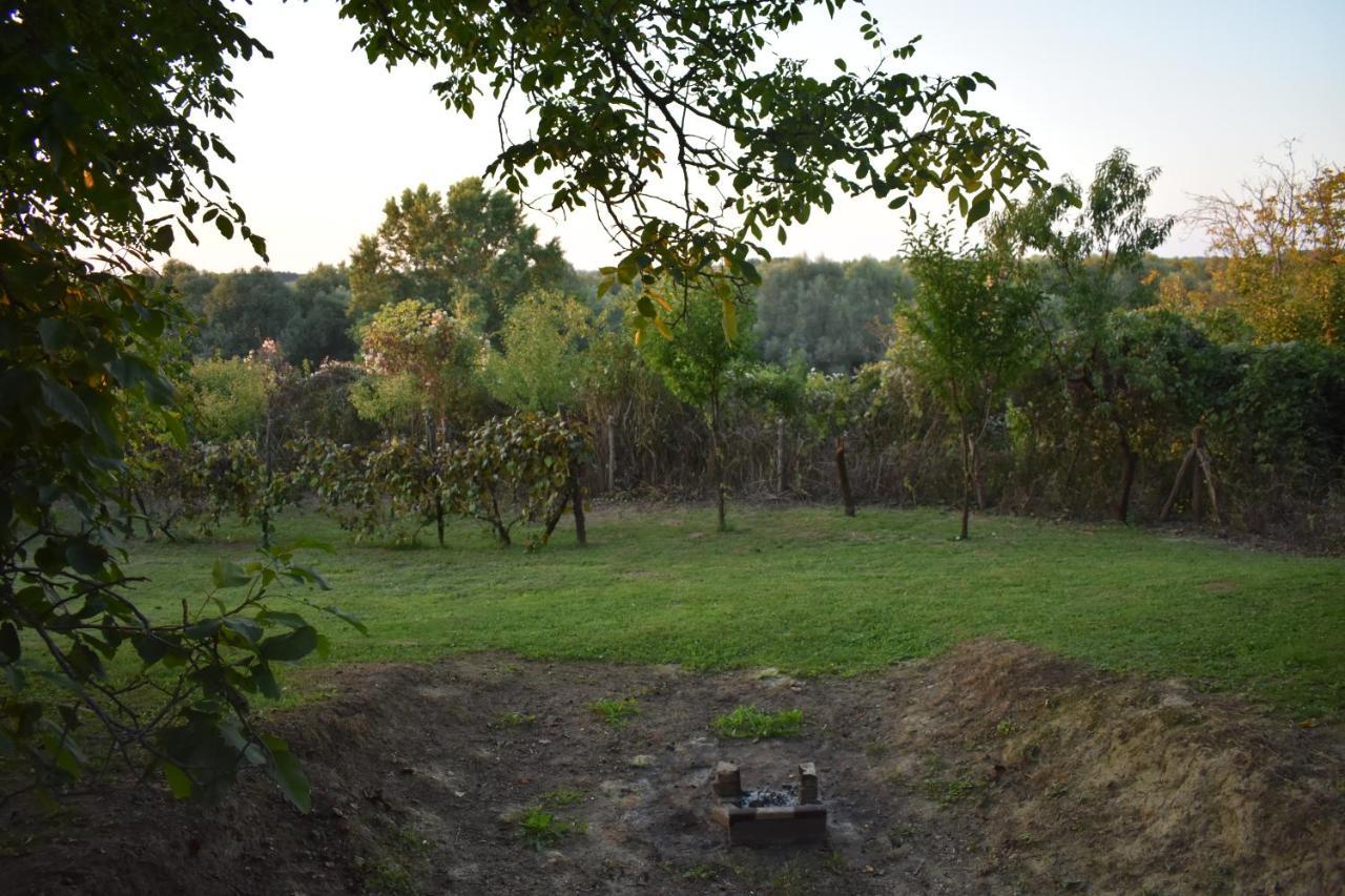 Odmor Za Dusu I Tijelo U Srcu Prirode Villa Aljmaš Dış mekan fotoğraf