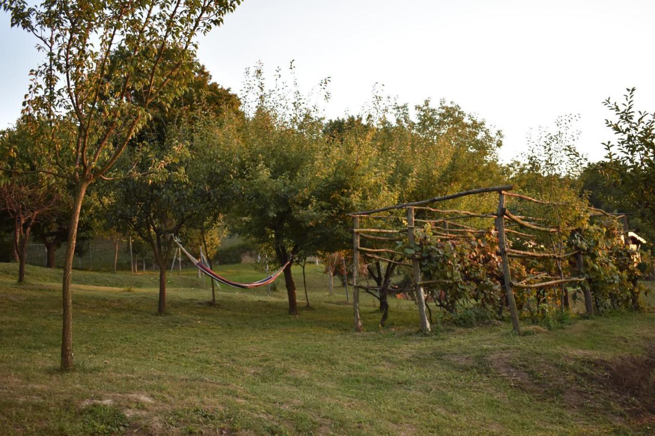 Odmor Za Dusu I Tijelo U Srcu Prirode Villa Aljmaš Dış mekan fotoğraf