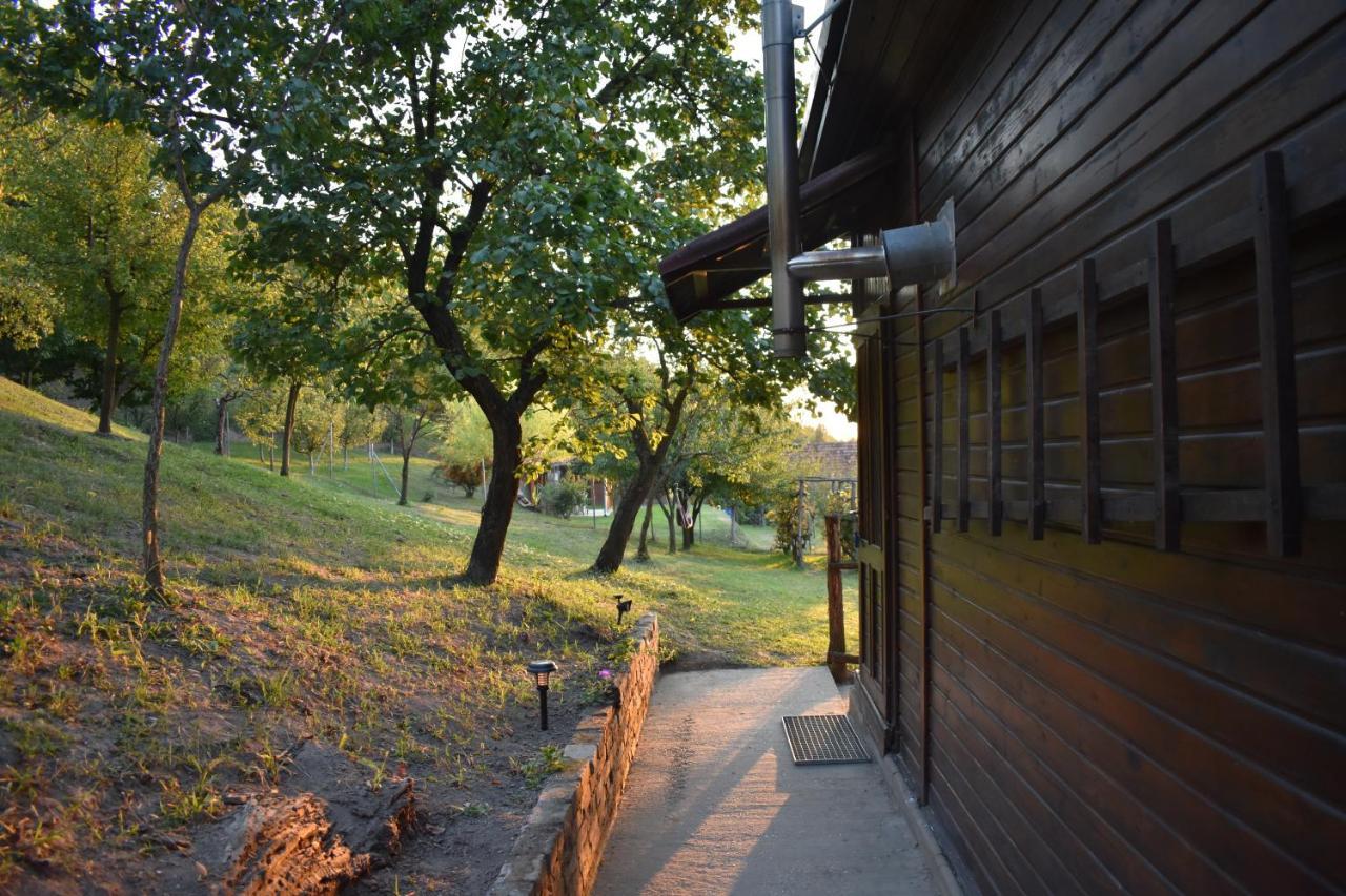 Odmor Za Dusu I Tijelo U Srcu Prirode Villa Aljmaš Dış mekan fotoğraf