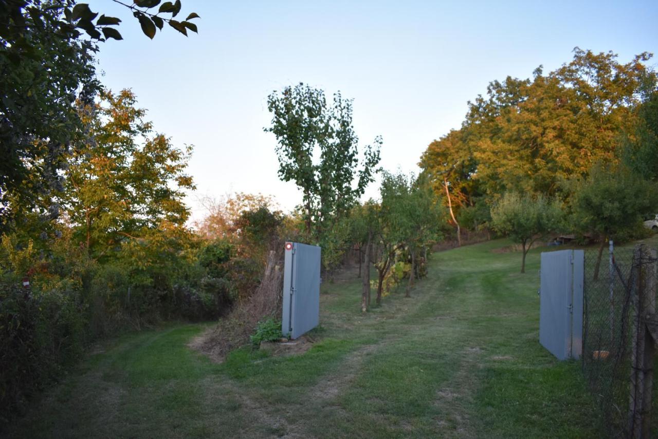 Odmor Za Dusu I Tijelo U Srcu Prirode Villa Aljmaš Dış mekan fotoğraf