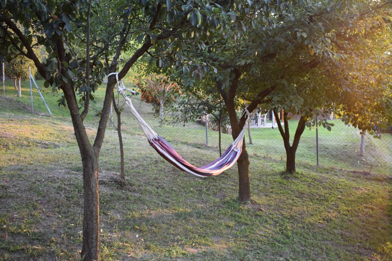 Odmor Za Dusu I Tijelo U Srcu Prirode Villa Aljmaš Dış mekan fotoğraf