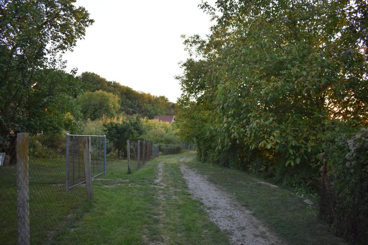 Odmor Za Dusu I Tijelo U Srcu Prirode Villa Aljmaš Dış mekan fotoğraf