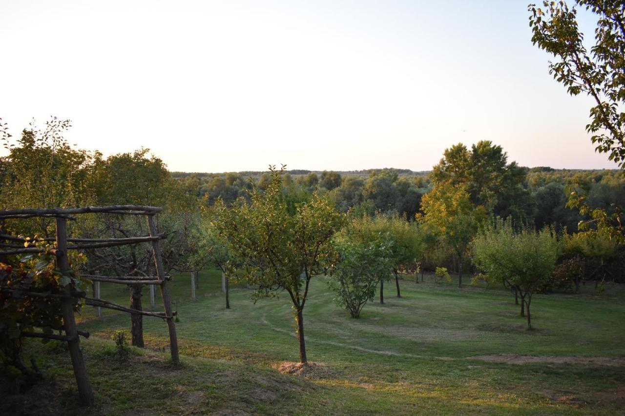 Odmor Za Dusu I Tijelo U Srcu Prirode Villa Aljmaš Dış mekan fotoğraf