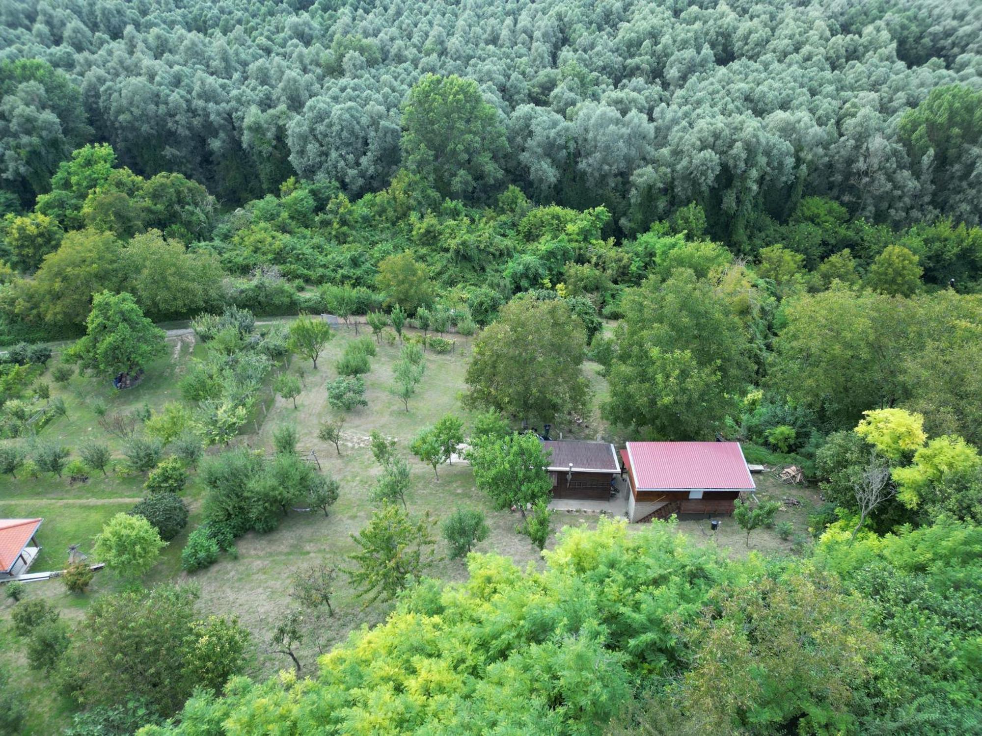 Odmor Za Dusu I Tijelo U Srcu Prirode Villa Aljmaš Dış mekan fotoğraf