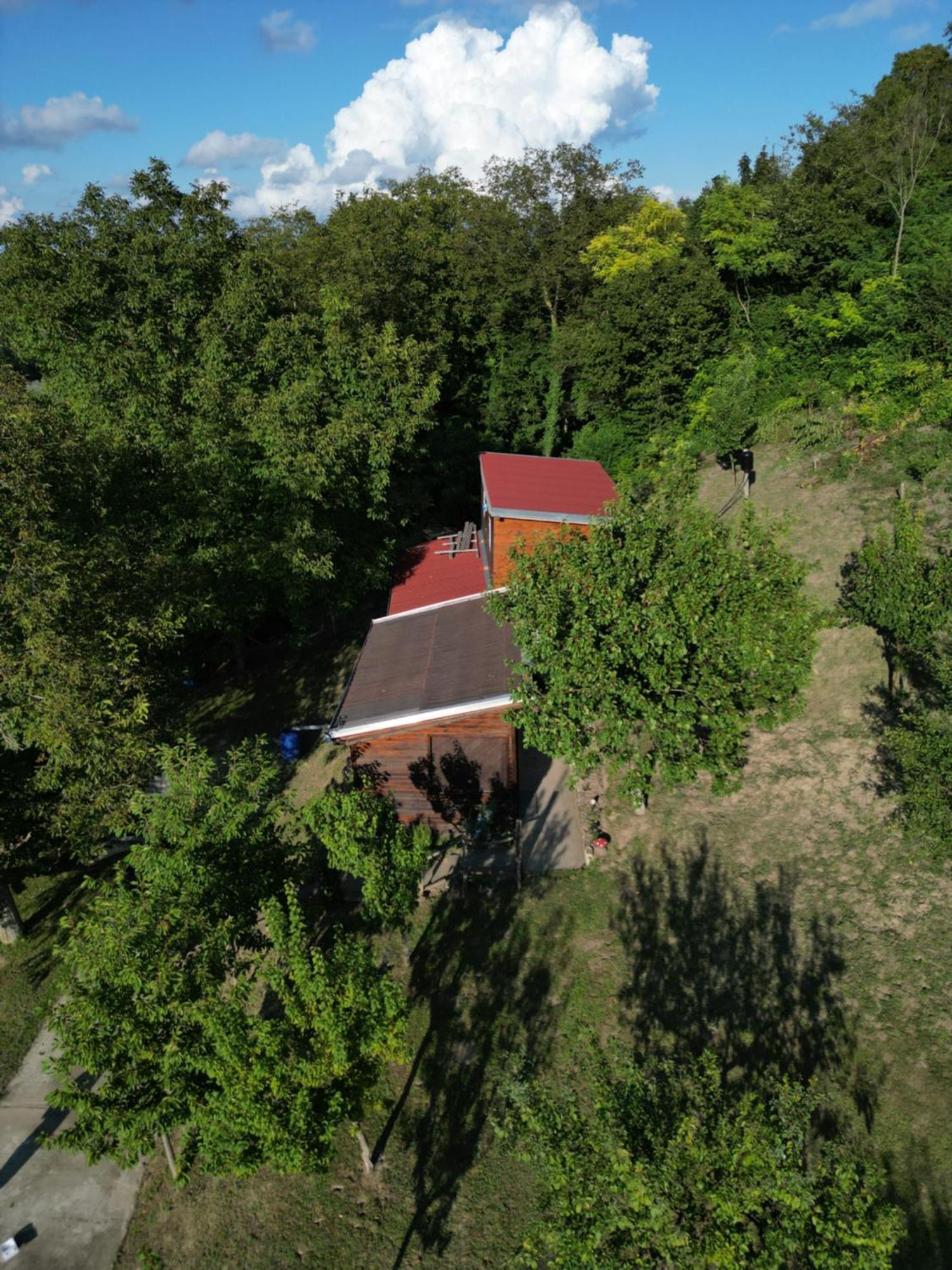 Odmor Za Dusu I Tijelo U Srcu Prirode Villa Aljmaš Dış mekan fotoğraf