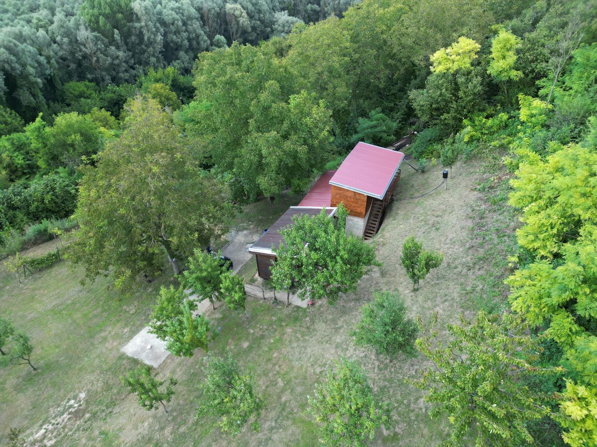 Odmor Za Dusu I Tijelo U Srcu Prirode Villa Aljmaš Dış mekan fotoğraf