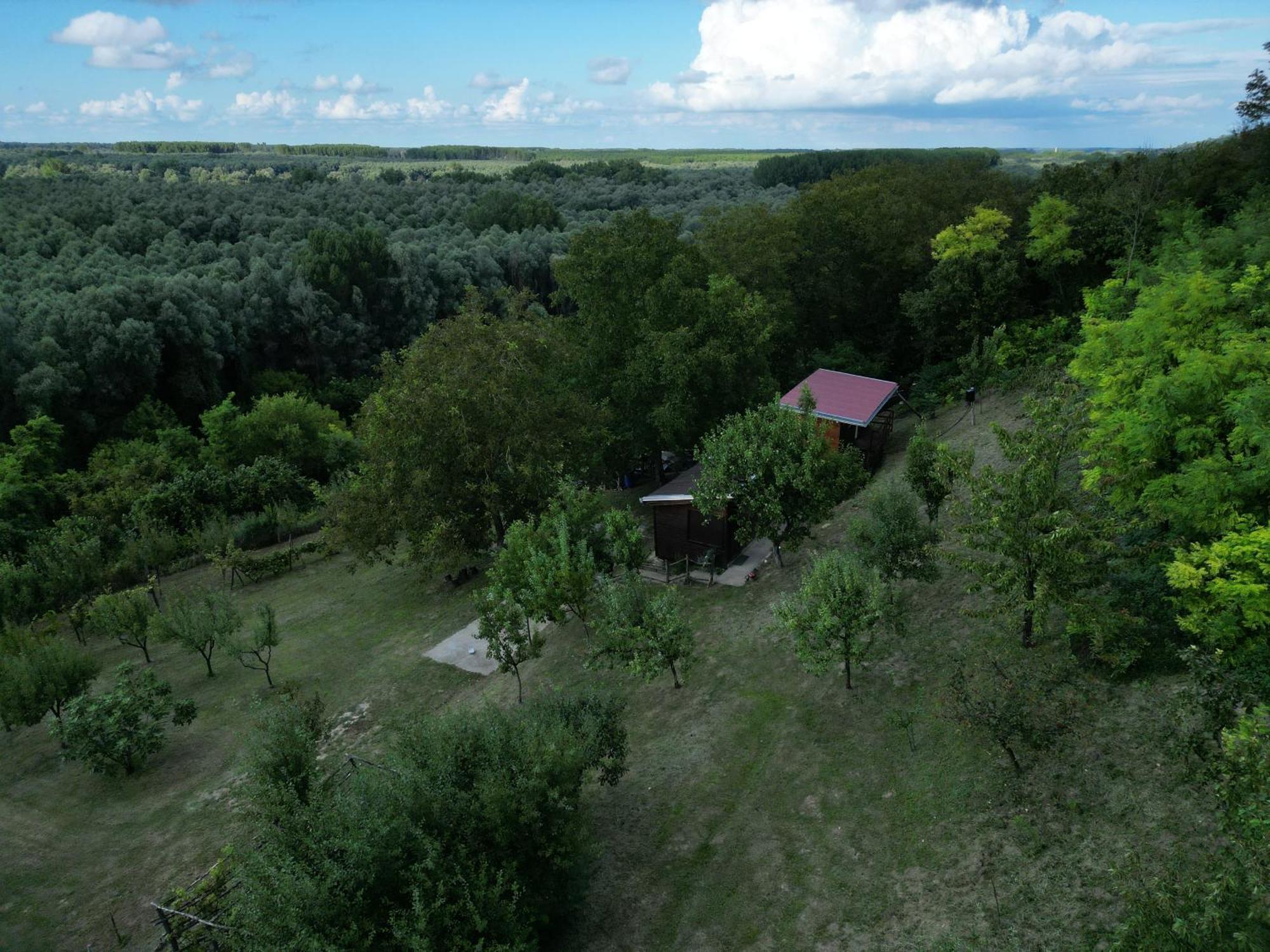 Odmor Za Dusu I Tijelo U Srcu Prirode Villa Aljmaš Dış mekan fotoğraf