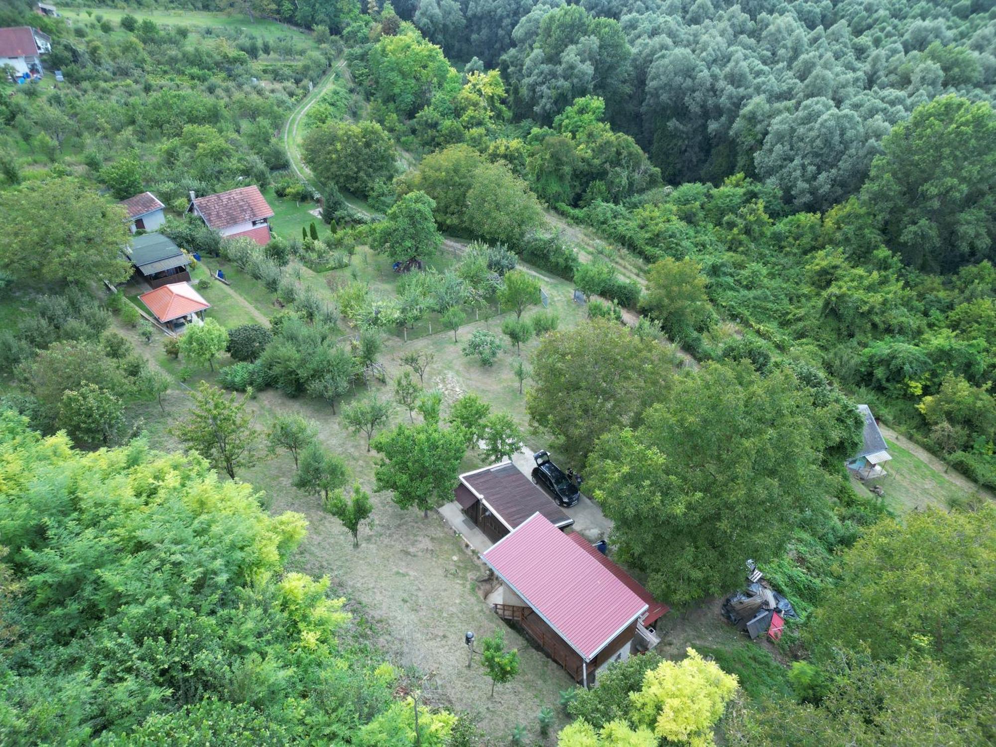 Odmor Za Dusu I Tijelo U Srcu Prirode Villa Aljmaš Dış mekan fotoğraf