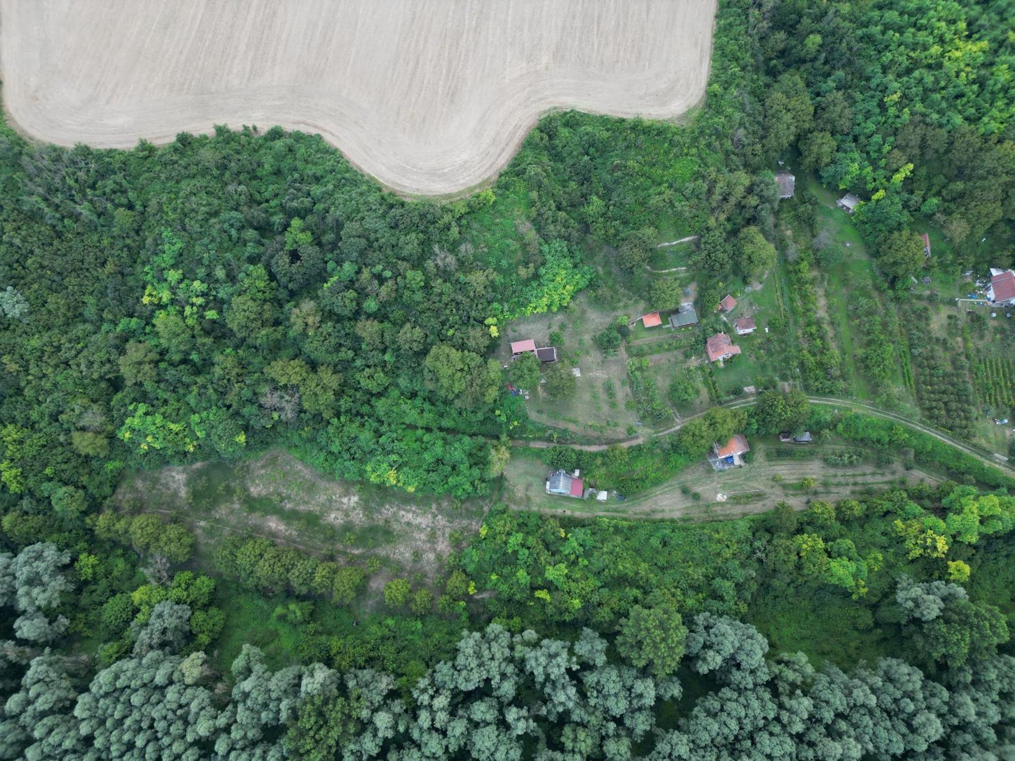 Odmor Za Dusu I Tijelo U Srcu Prirode Villa Aljmaš Dış mekan fotoğraf